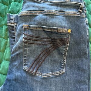 7 For All Mankind Women's Dojo